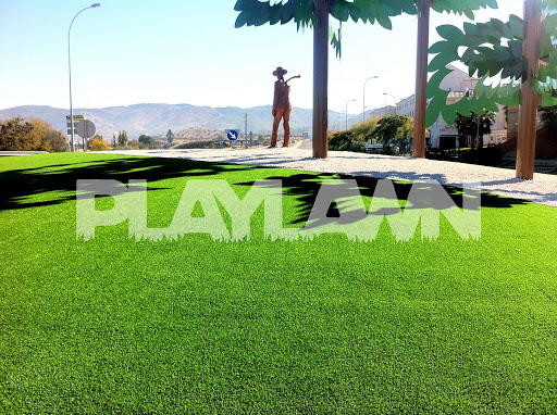 Playlawn