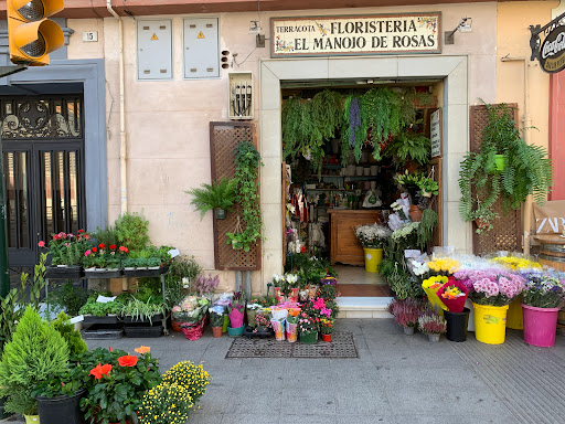 Floristería Terracota. El Manojo De Rosas