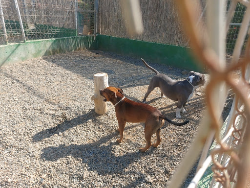 Residencia Canina y felina "Mi casa"