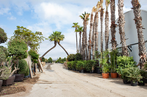 Centro de producción de plantas Cortijo Blanco