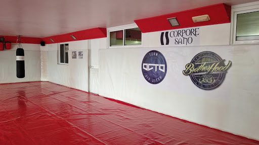 OCTO BJJ Team