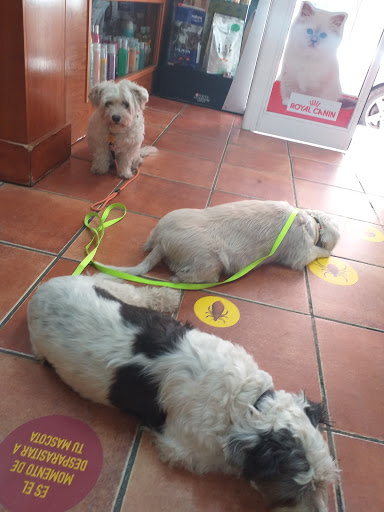 Centro Veterinario El Perro Andaluz