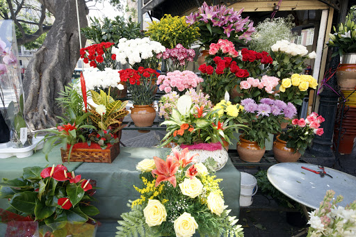 Floristería Maite