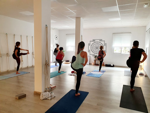 Vinyasa Yoga Estudio