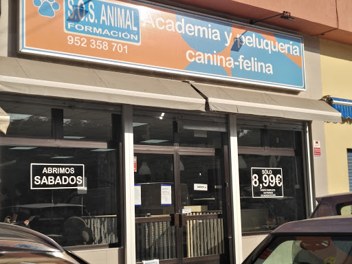 Academía de peluquería canina SOS Animal