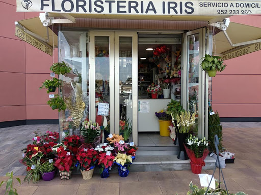 Floristería Iris