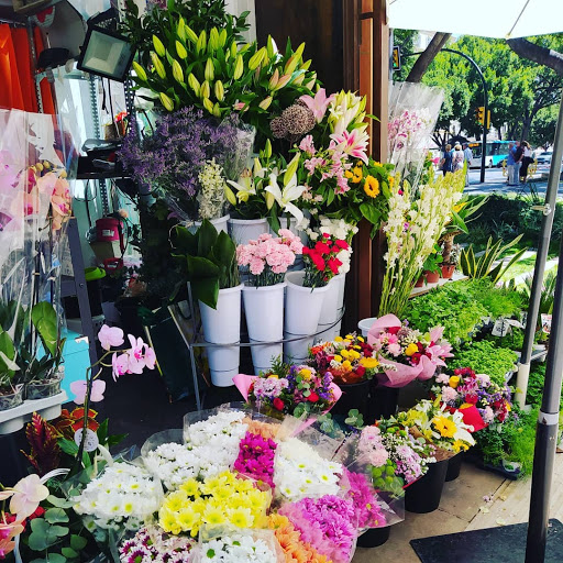 Floristería Emilia Alameda