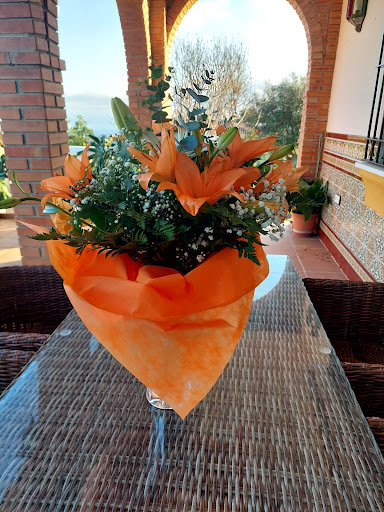 Floristería teleROSA