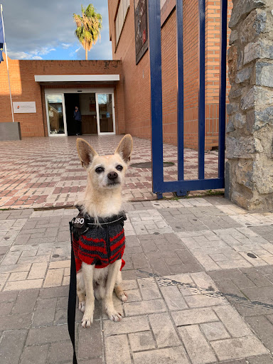 Clínica Veterinaria Dr. Rafael Díez