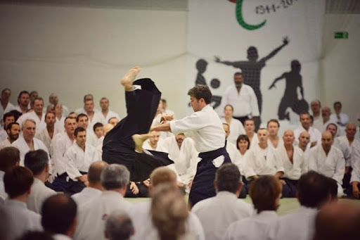 Aikido ACAE Málaga - Visión Budo