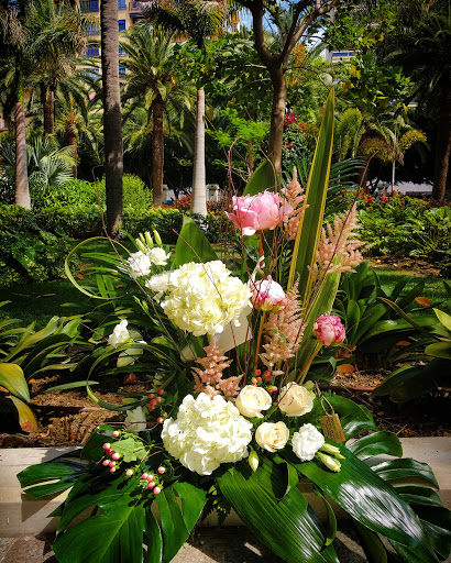 Agapanthus Floristería y Regalos