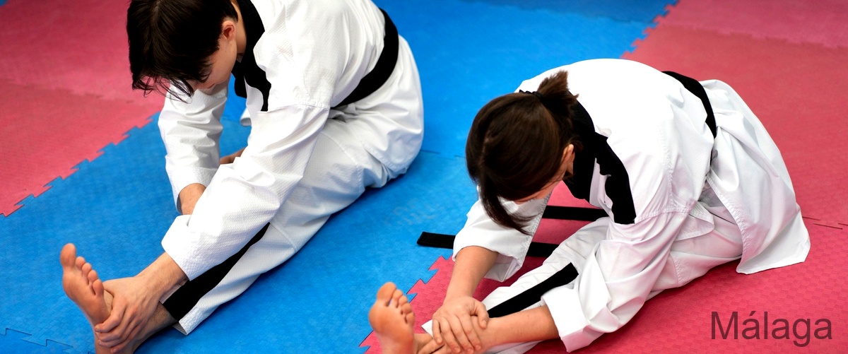 Las 12 mejores escuelas de Aikido en Málaga
