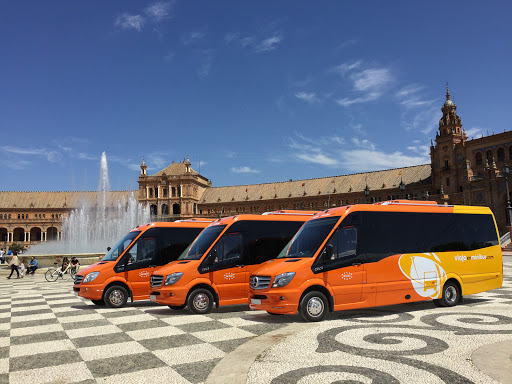 VIAJAenMINIBUS.com