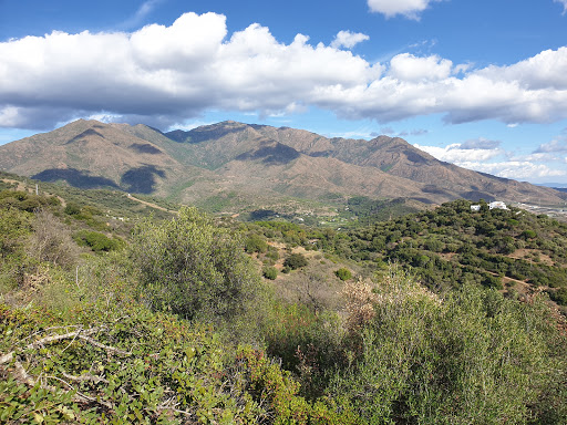 Topógrafos y Agrimensores. Málaga