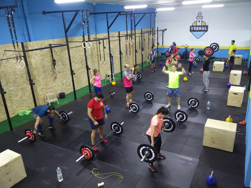 Terral CrossFit Box Oficial en Málaga