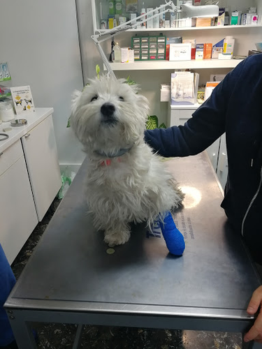 Clínica Veterinaria Amik Campanillas