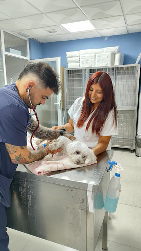 Hospital Veterinario Urvemace