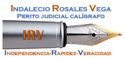 Irv Perito Judicial Caligráfico